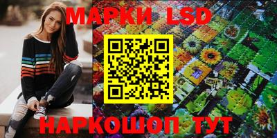 шишки Славгород