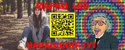 шишки Славгород