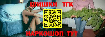 шишки Славгород