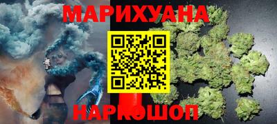 шишки Славгород
