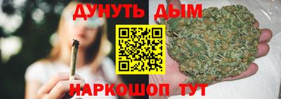 шишки Славгород