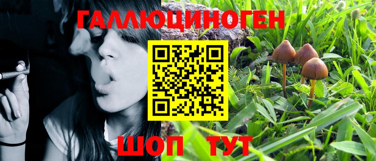 Псилоцибиновые грибы Psilocybe  Вход с VPN  Асбест 