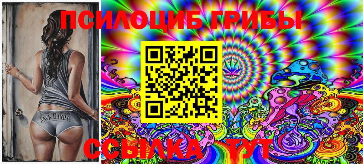 Галлюциногенные грибы Psilocybine cubensis Асбест