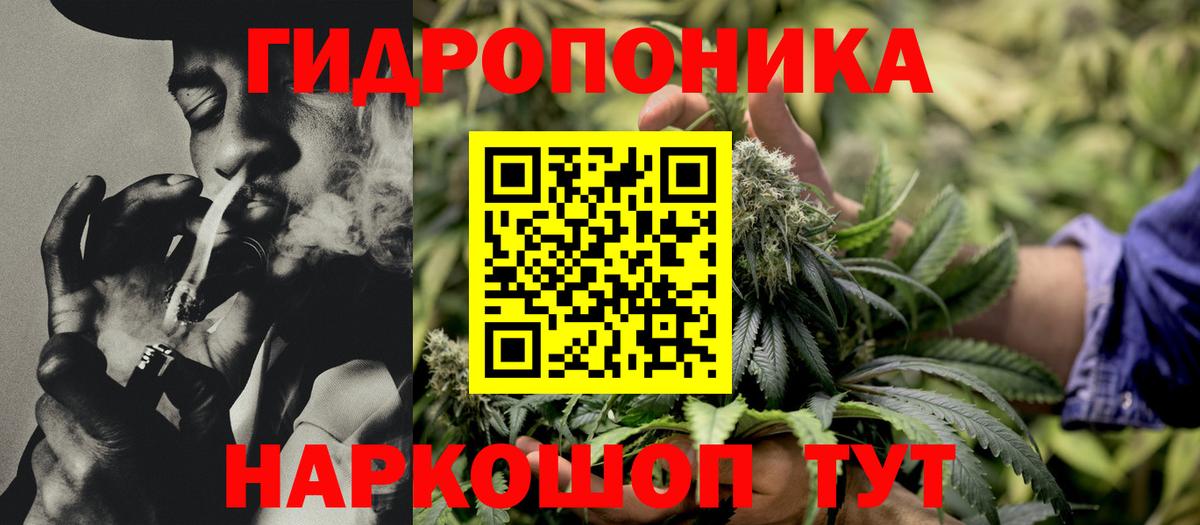 Конопля THC 21%  Шишки марихуана планчик  Бошки Шишки марихуана  Вход с VPN  Асбест 